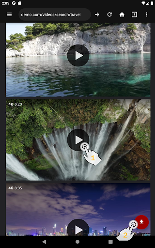 Video Downloader Pro