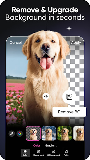 Picsart AI Photo Editor, Video