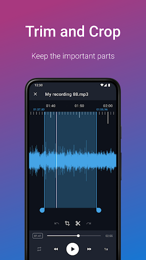 Easy Voice Recorder Pro