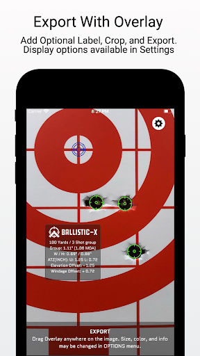 Ballistic X