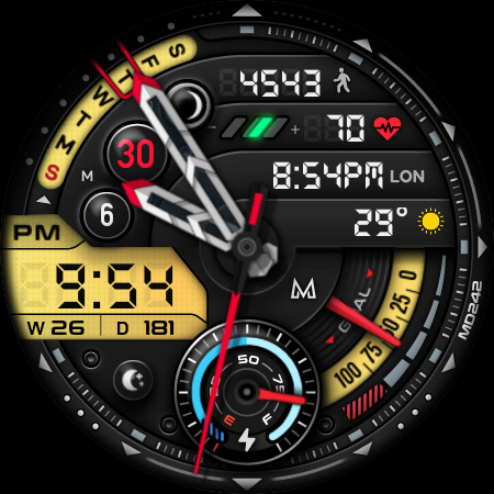 MD242 Hybrid watch face