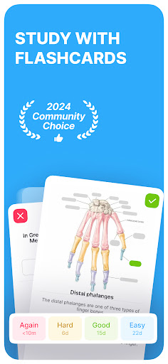 Noji – Flashcards study app