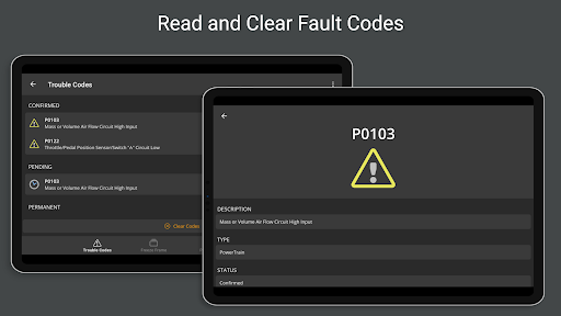 OBD Fusion (Car Diagnostics)