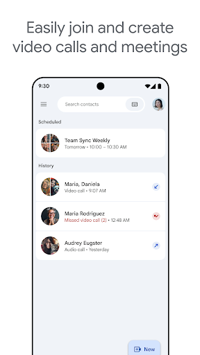 Google Meet