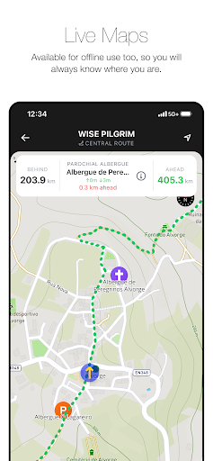 Wise Pilgrim Camino Portugués