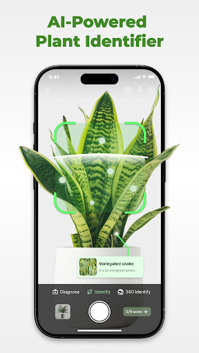 Plant Identifier & Plant Care