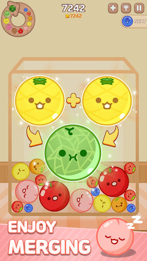 Melon Maker : Fruit Game
