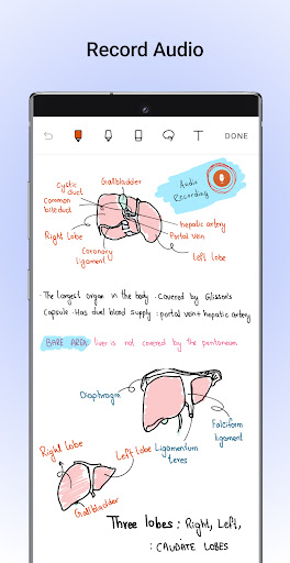 Noteshelf - Notes, Annotations