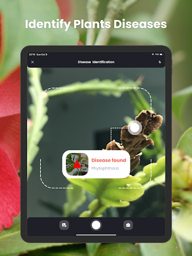 PlantIn Plant Identifier, Care