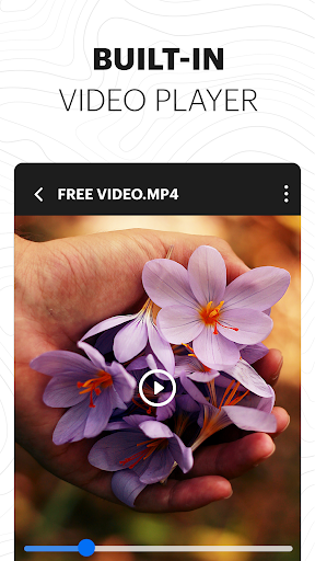 Video Downloader & Launcher