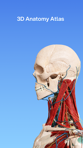 VOKA 3D Anatomy and Physiology