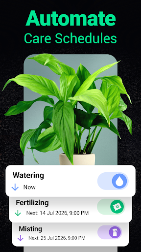 Plantum - Plant Identifier
