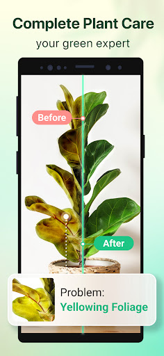 Plant Parent: Plant Care Guide