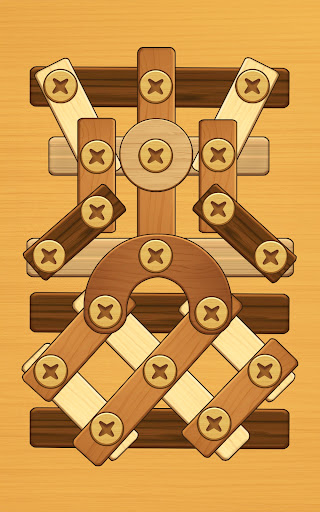 Screw Puzzle: Wood Nut & Bolt™