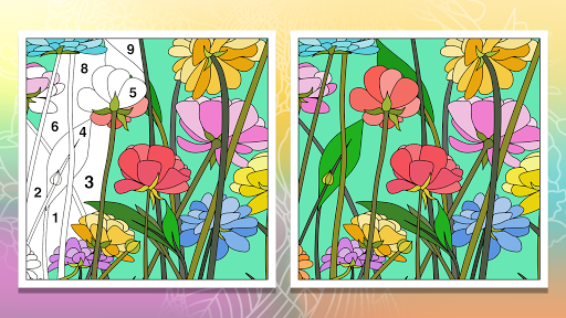 Coloring Book: Color by Number