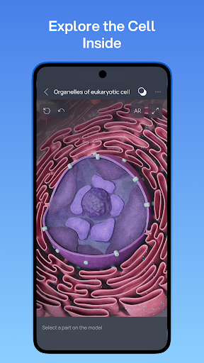 VOKA 3D Anatomy and Physiology