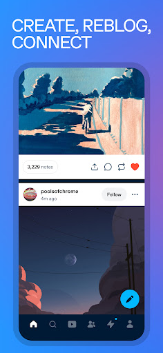 Tumblr: Social Media & Art