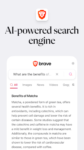 Brave Private Web Browser, VPN