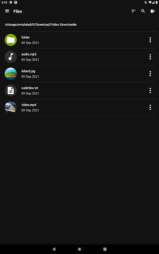Video Downloader Pro