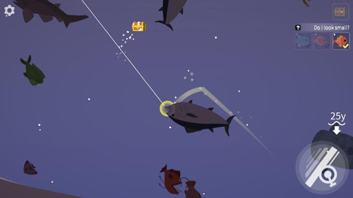 Fishing and Life