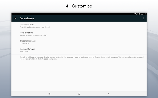 Site Audit Pro