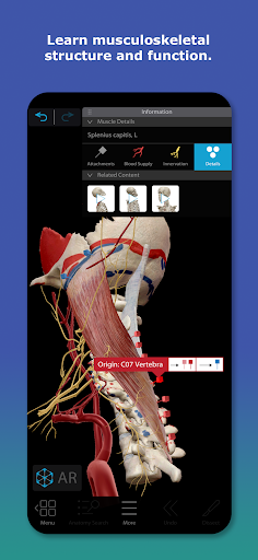 Human Anatomy Atlas 2026