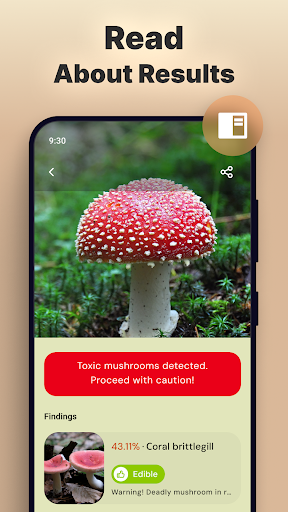 Mushroom Identification