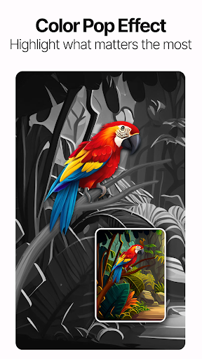 Photo App - AI Photo Enhancer