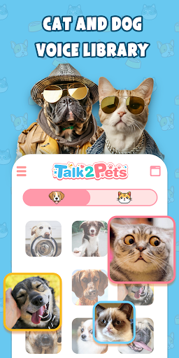 Talk2Pets