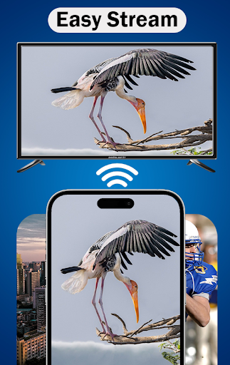 MirrorLink