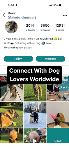 DogPack: Dog Friendly Spots