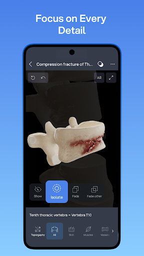 VOKA 3D Anatomy and Physiology