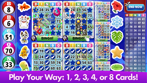 Bingo Classic - Bingo Games
