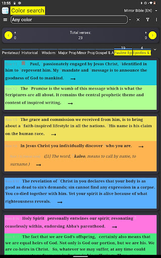Mirror Study Bible