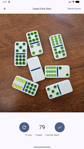 Domino Dot Counter