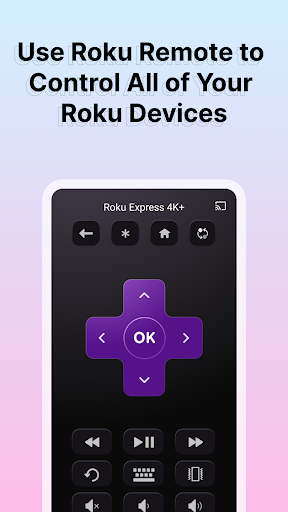 CineToolkit:Caster&Roku Remote