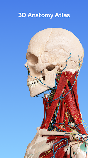 VOKA 3D Anatomy and Physiology