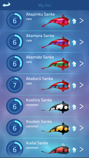 Zen Koi Pro
