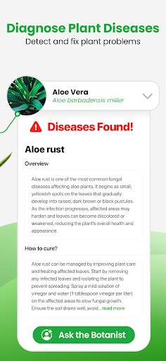 Plant App - Plant Identifier
