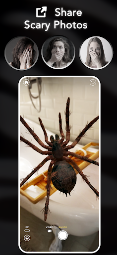ARSpiders.com: Spider on Face