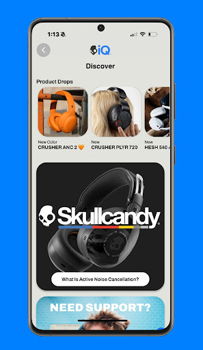 Skull-iQ