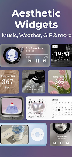 WidgetClub:Widget, Theme, Icon