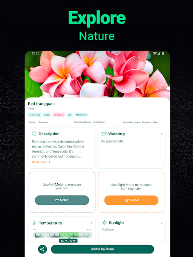 Plantum - Plant Identifier