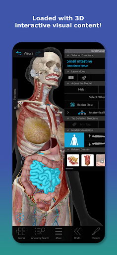 Human Anatomy Atlas 2026