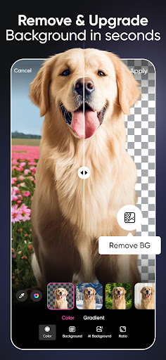 Picsart AI Photo Editor, Video