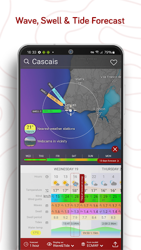 Windy.com - Weather Forecast