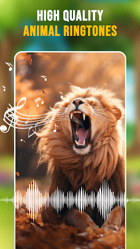 Animal Ringtones