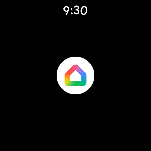 Google Home