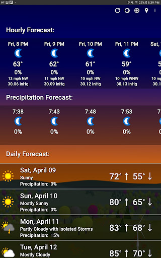 What The Forecast