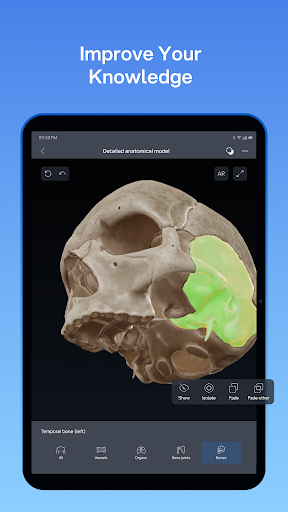 VOKA 3D Anatomy and Physiology